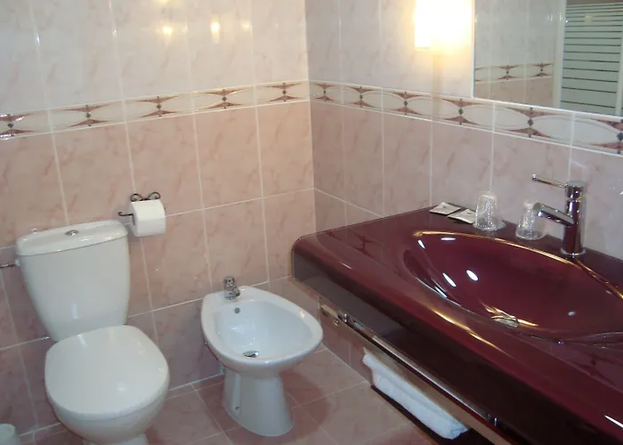 Lutetia - Climatise Otel Lourdes