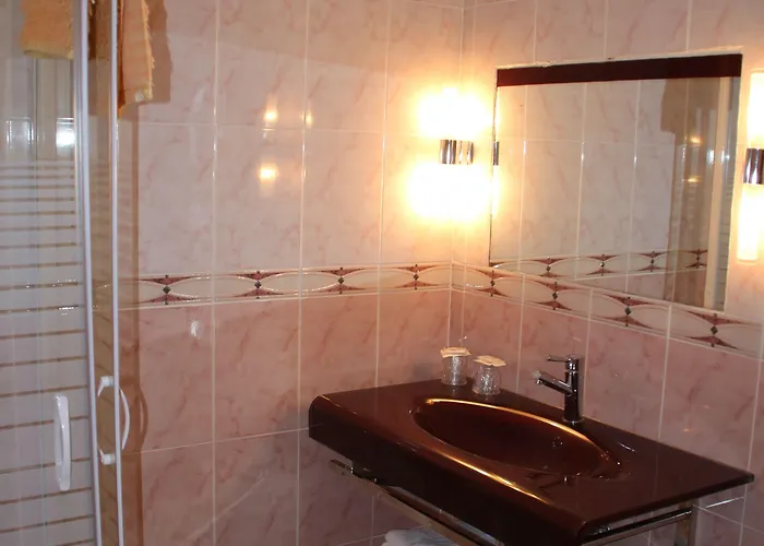 Otel Lutetia - Climatise Lourdes