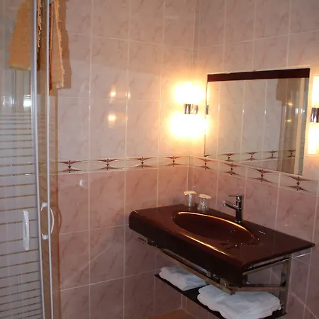 Hotel Lutetia Lourdes